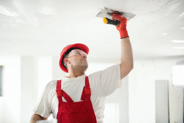 Best Environmental Consulting for Mold Prevention  in West Laurel, MD